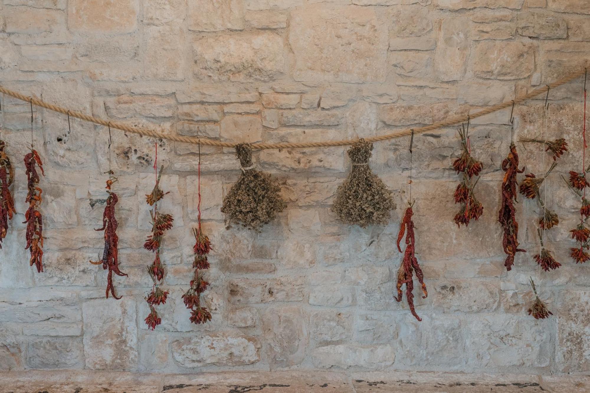 Tenuta Tedone Consolini Villa Ruvo di Puglia Dış mekan fotoğraf