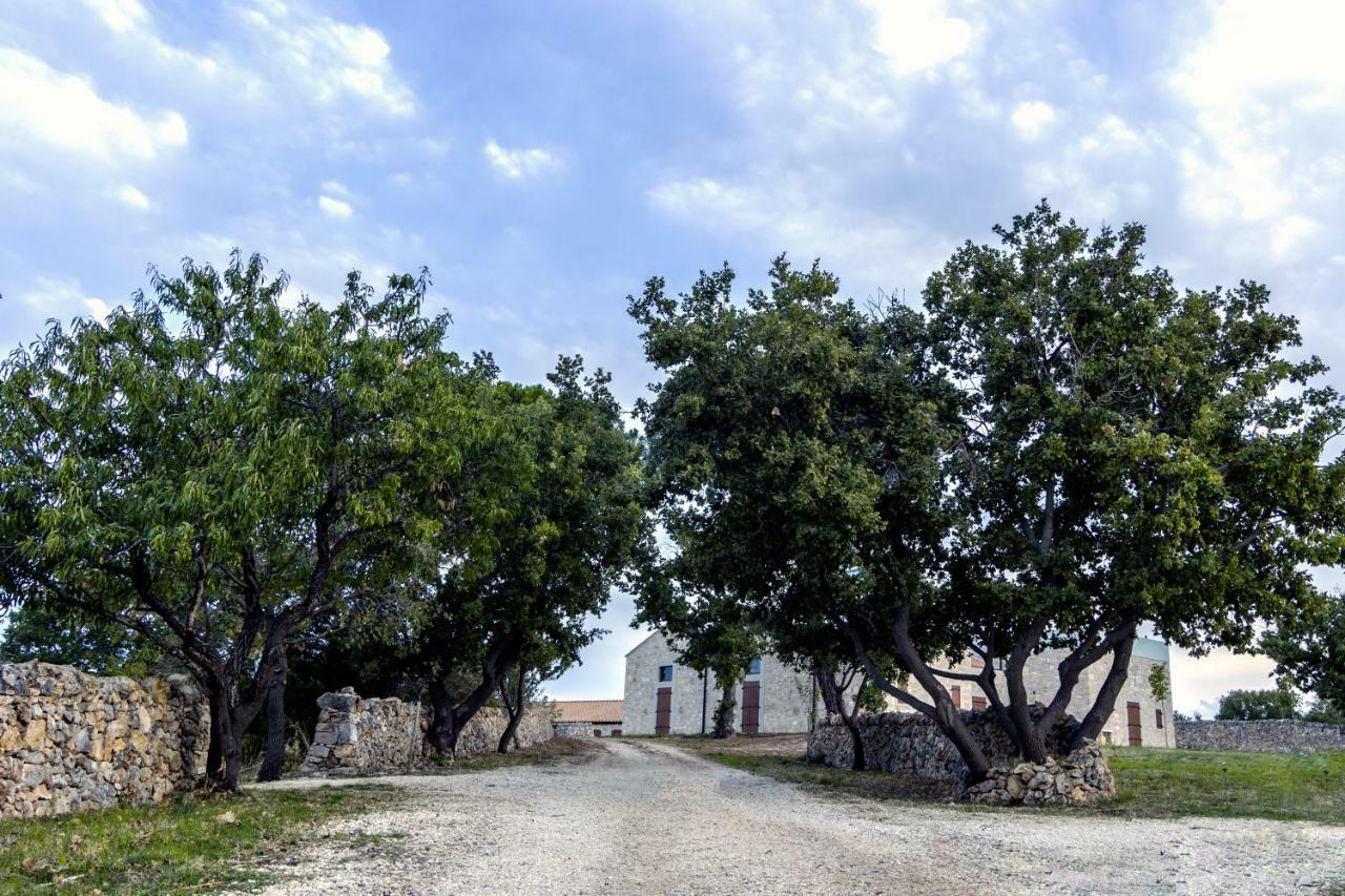 Tenuta Tedone Consolini Villa Ruvo di Puglia Dış mekan fotoğraf