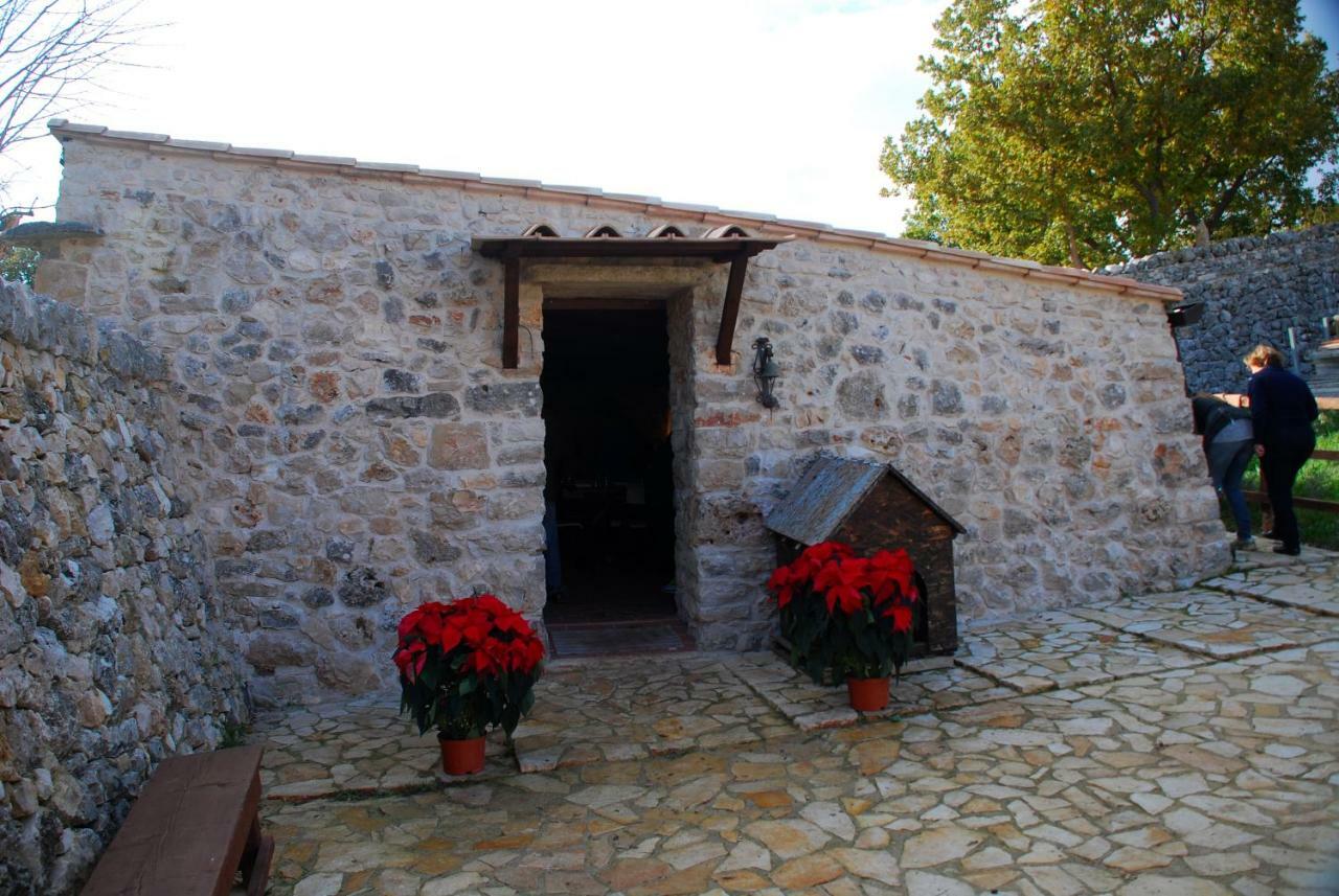 Tenuta Tedone Consolini Villa Ruvo di Puglia Dış mekan fotoğraf