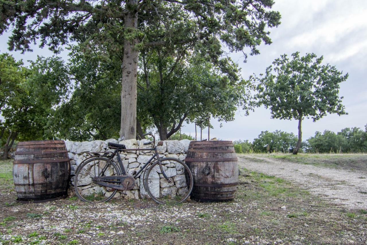 Tenuta Tedone Consolini Villa Ruvo di Puglia Dış mekan fotoğraf