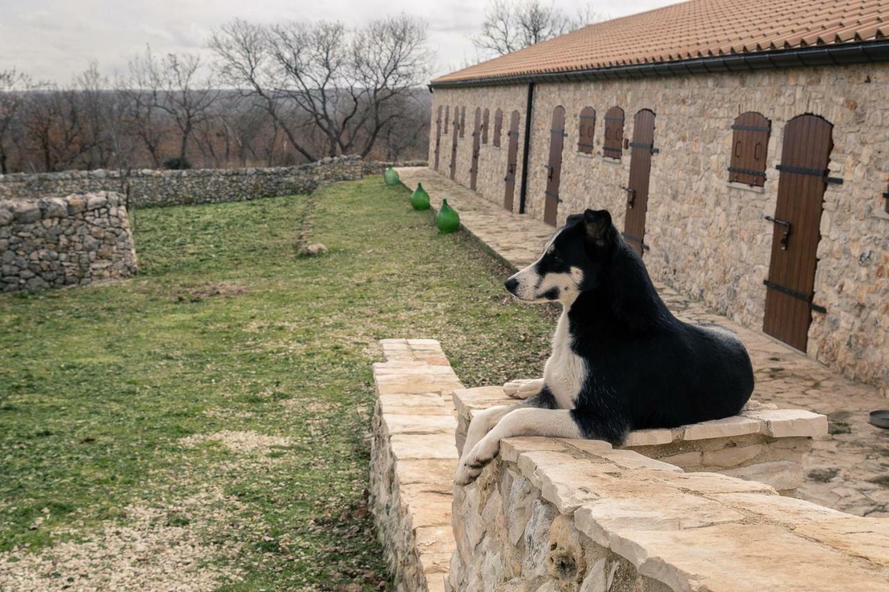 Tenuta Tedone Consolini Villa Ruvo di Puglia Dış mekan fotoğraf